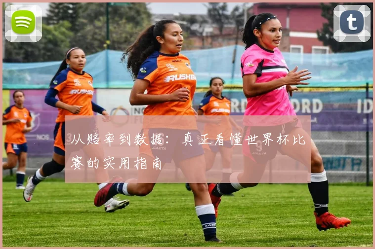 从赔率到数据：真正看懂世界杯比赛的实用指南