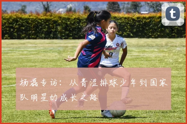 杨磊专访：从青涩排球少年到国家队明星的成长之路
