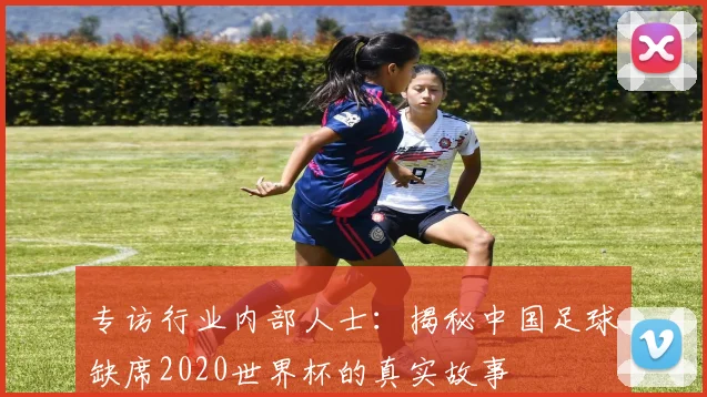专访行业内部人士：揭秘中国足球缺席2020世界杯的真实故事