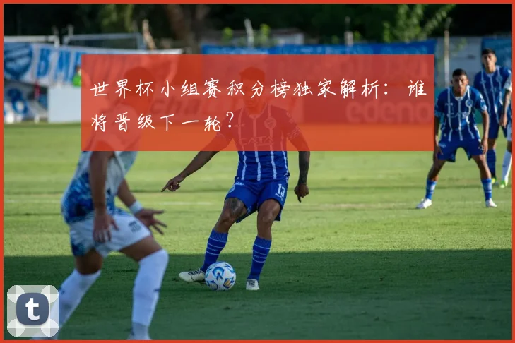 世界杯小组赛积分榜独家解析：谁将晋级下一轮？