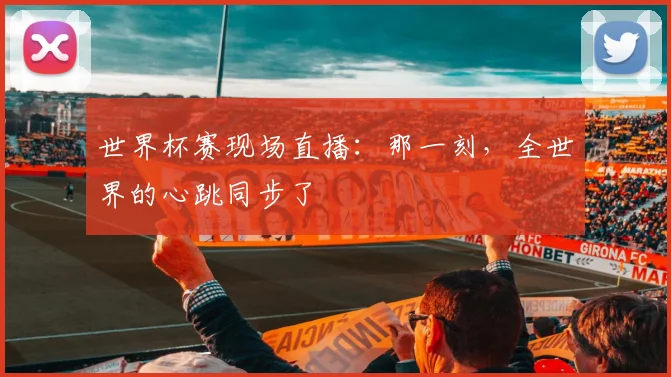 世界杯赛现场直播：那一刻，全世界的心跳同步了