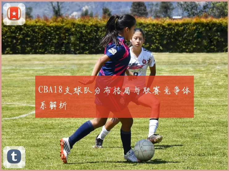 CBA18支球队分布格局与联赛竞争体系解析