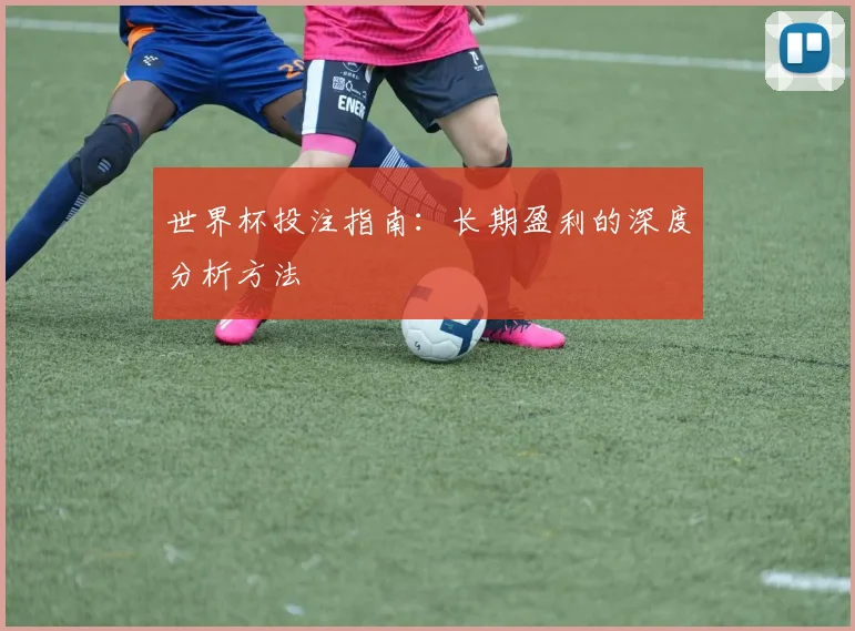 世界杯投注指南：长期盈利的深度分析方法