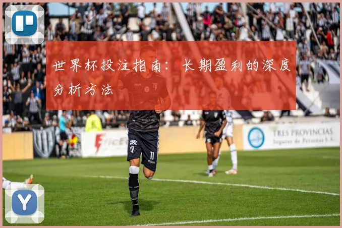 世界杯投注指南：长期盈利的深度分析方法