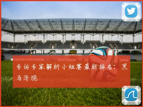 专访专家解析小组赛最新排名:黑马浮现