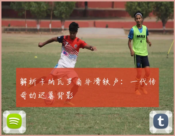 解析卡纳瓦罗南非滑铁卢：一代传奇的迟暮背影