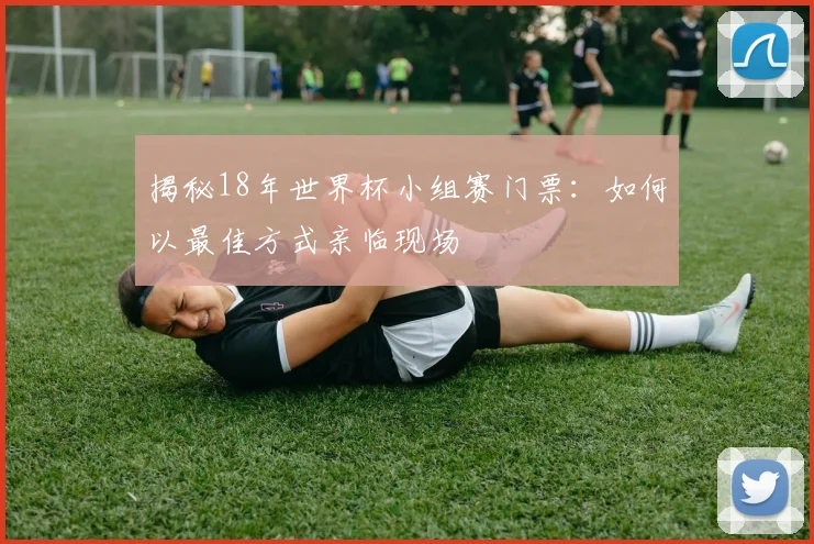 揭秘18年世界杯小组赛门票：如何以最佳方式亲临现场