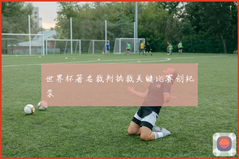 世界杯著名裁判执裁关键比赛创纪录